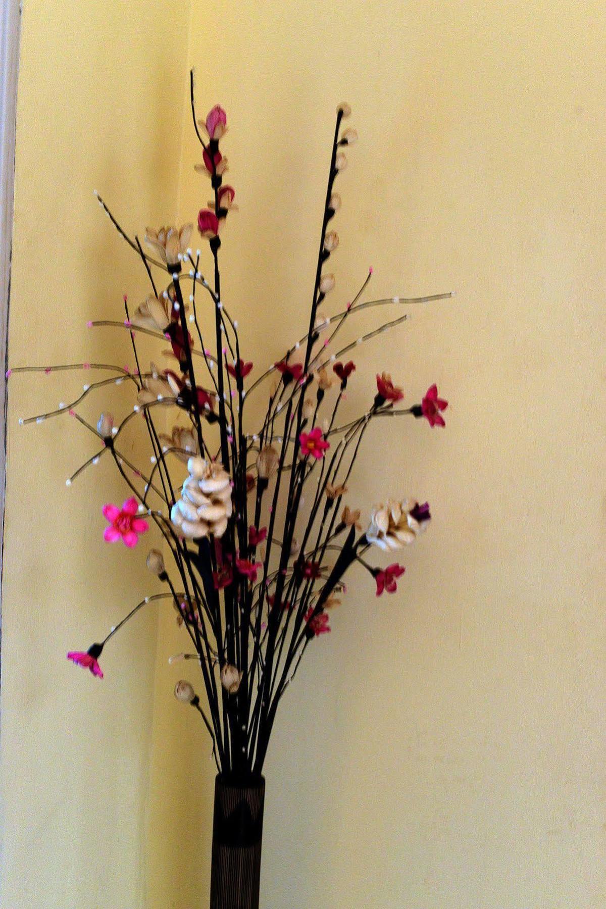 Mea Culpa Kampot Hotel Luaran gambar